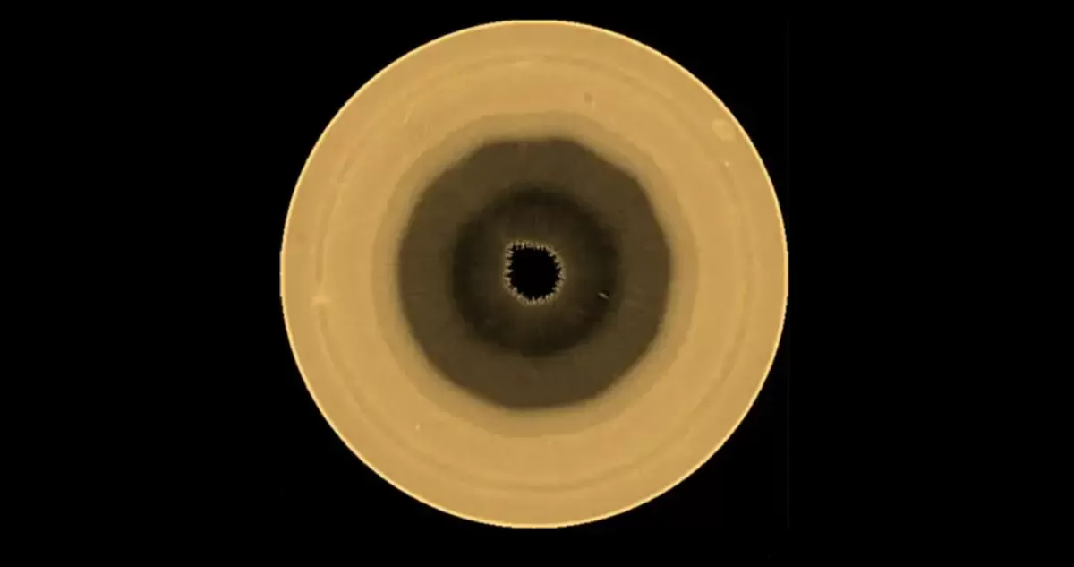 Astrónomos detectan figura gigante de 10 lados en Saturno | Ciencia y Tecnología