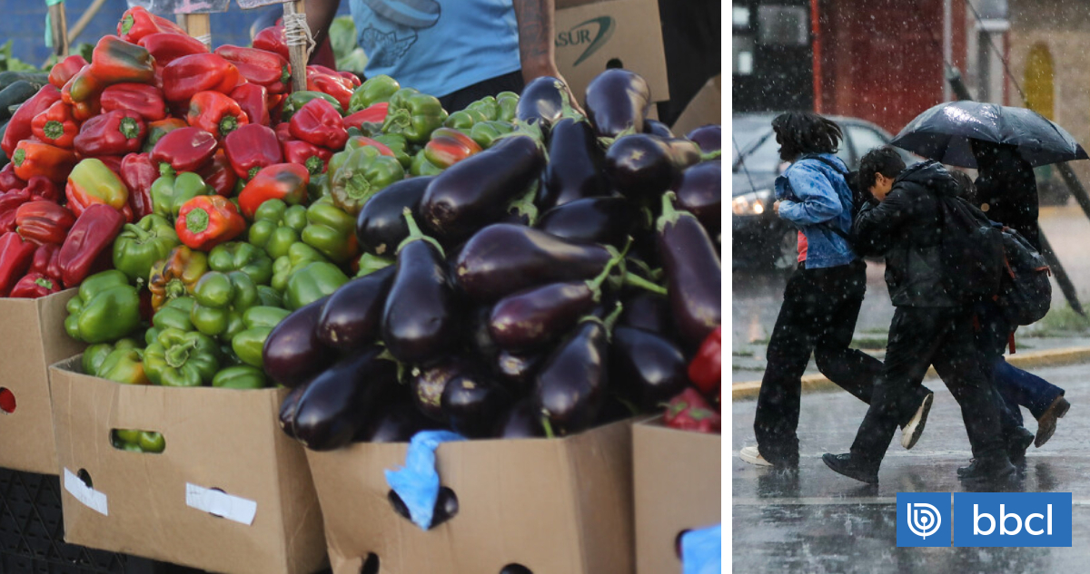 El agro reconoce atrasos en algunas siembras e interrupciones en cosechas ante las últimas lluvias