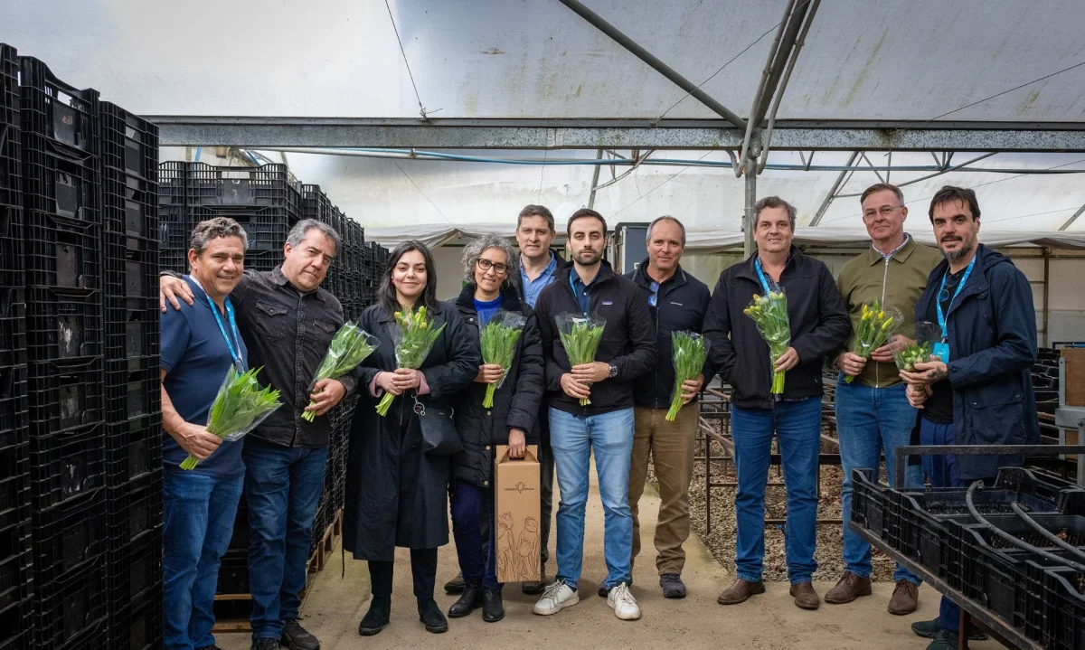 Importadores extranjeros proyectan negocios con floricultores de Los Ríos
