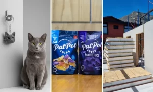 Semana de la Pyme: tres emprendimientos del sur que destacan por su impacto territorial e innovación