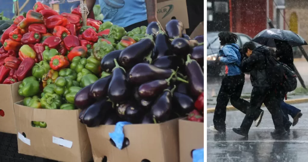 El agro reconoce atrasos en algunas siembras e interrupciones en cosechas ante las últimas lluvias